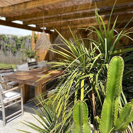 Ocean House - Ribeira D'Ilhas Ericeira Vandrehjem Eksteriør billede