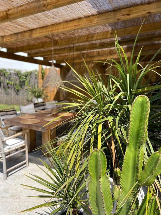 Ocean House - Ribeira D'Ilhas Ericeira Vandrehjem Eksteriør billede
